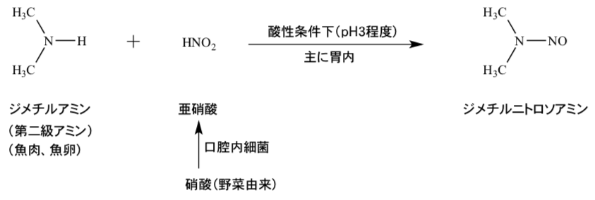 解説画像